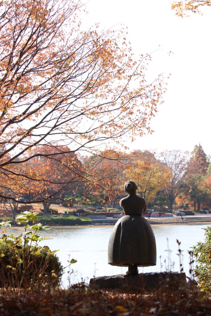 自己紹介用　紅葉写真
