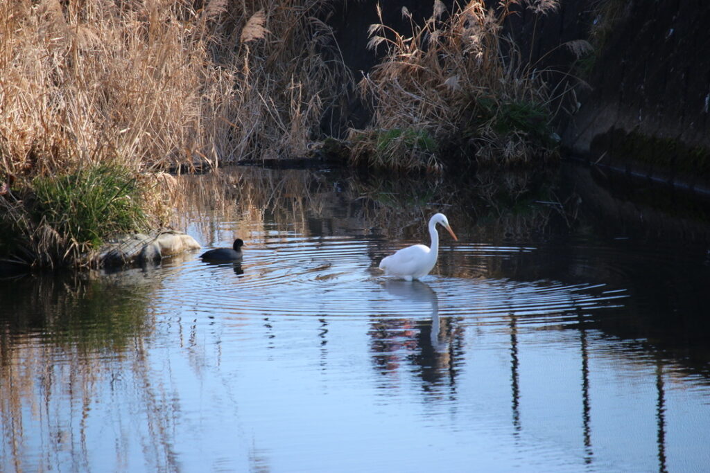 ポートフォリオ用問合せ画像
